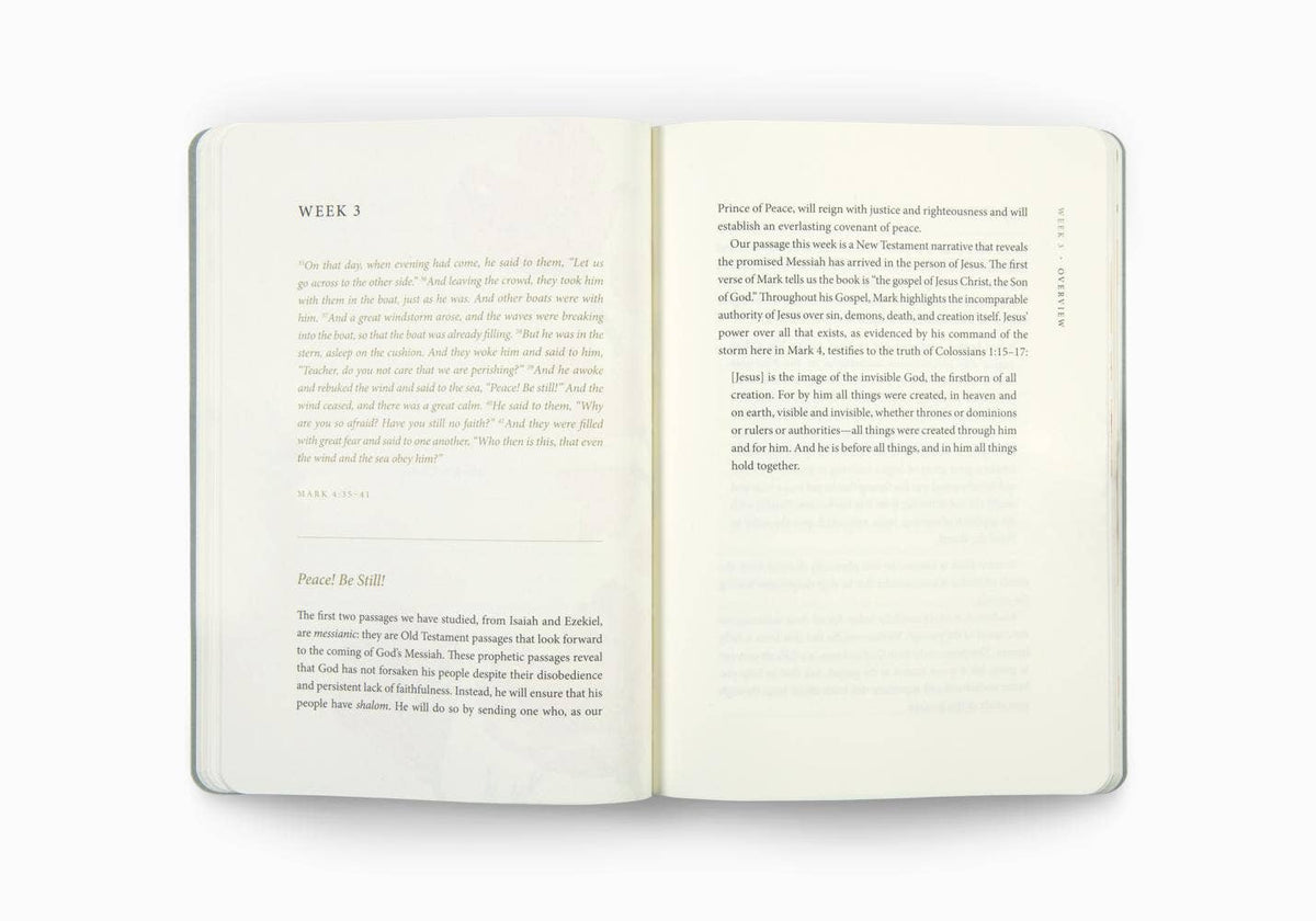 ESV Prayer Journal: 30 Days on Peace